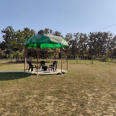 Nature Homestay Varanasi Eksteriør billede