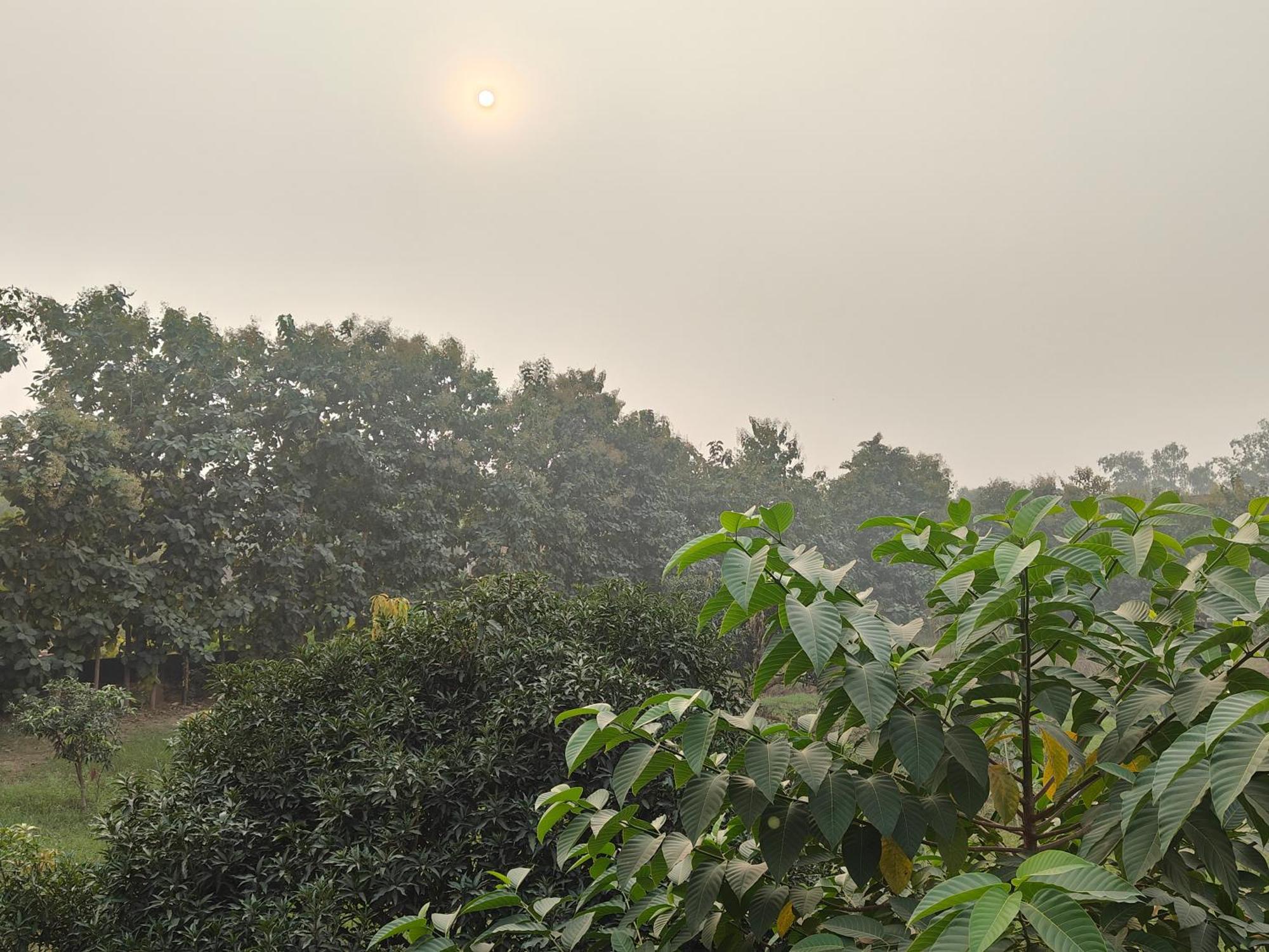 Nature Homestay Varanasi Eksteriør billede
